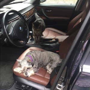 Meet your Posher, Jessie